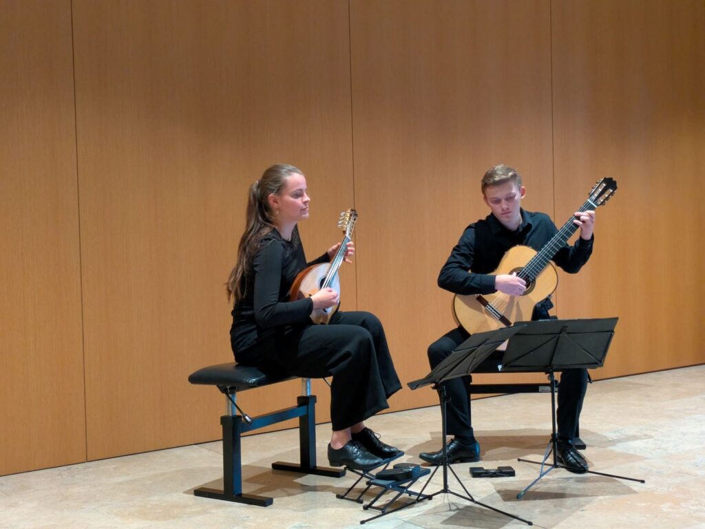 Mandoline und Gitarre